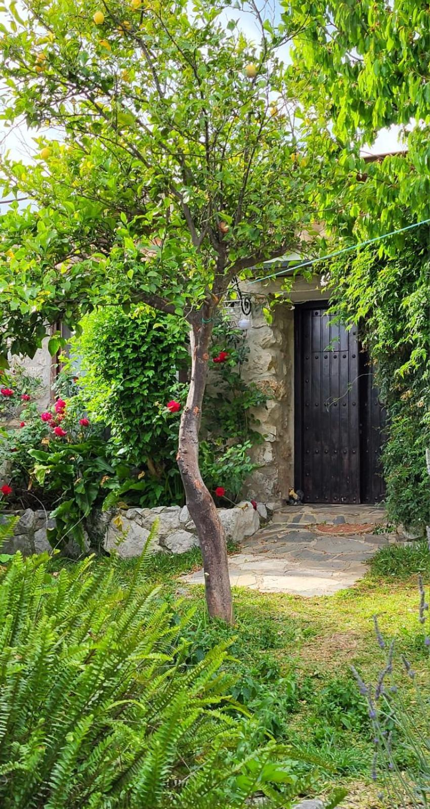 Casa Nani Villa Benaocaz Bagian luar foto