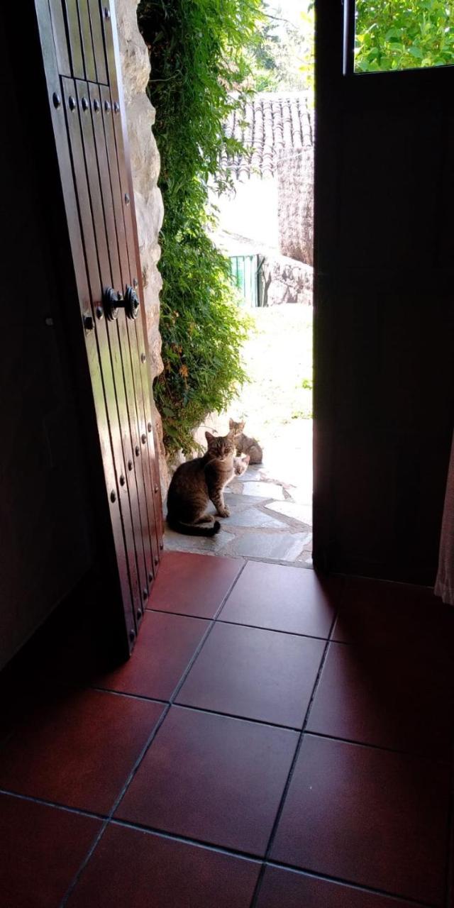 Casa Nani Villa Benaocaz Bagian luar foto